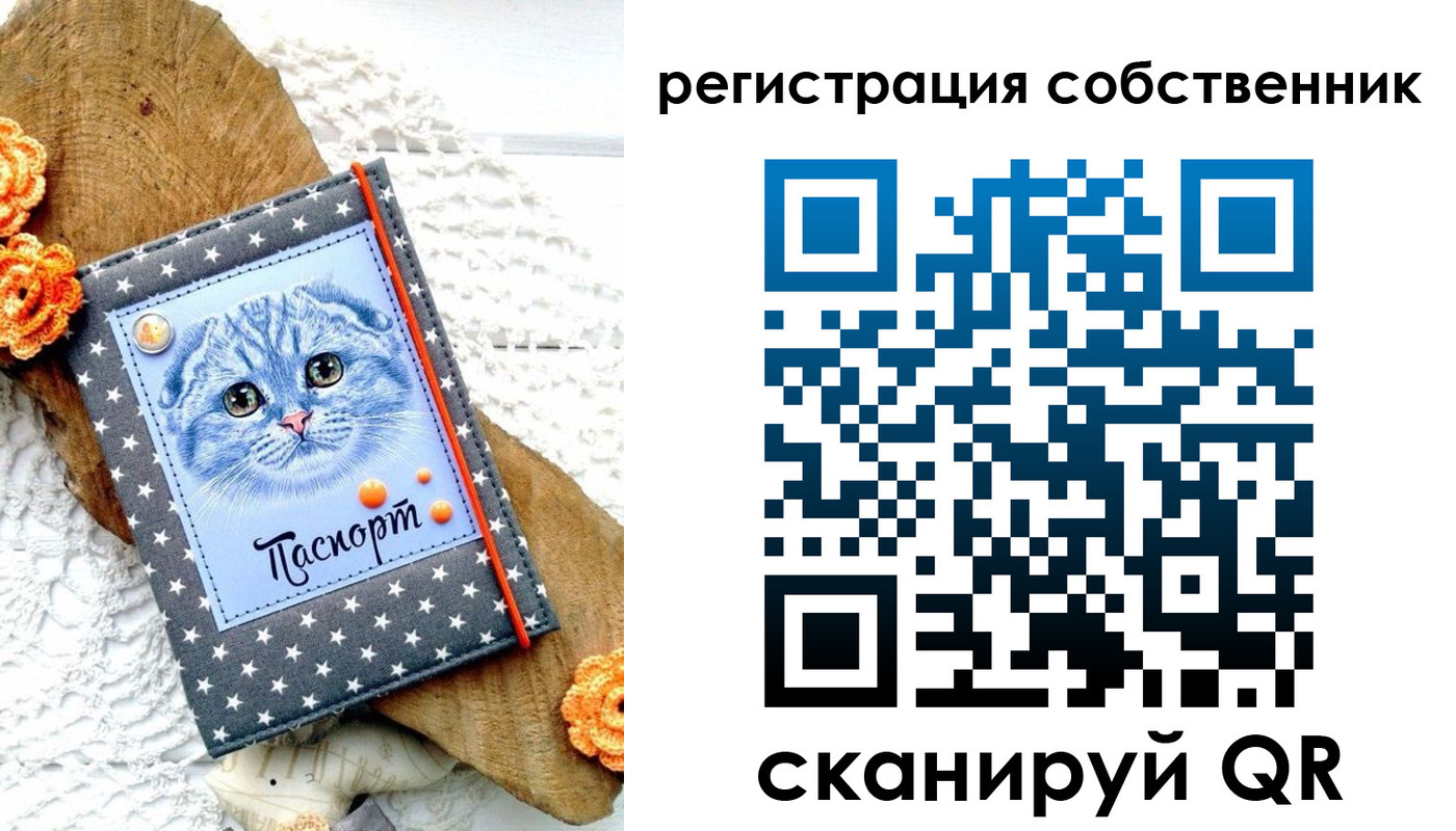 прописка для работы в Михайловке